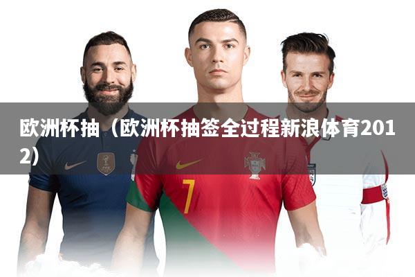 欧洲杯抽（欧洲杯抽签全过程新浪体育2012）